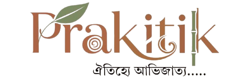 Prakitik Logo